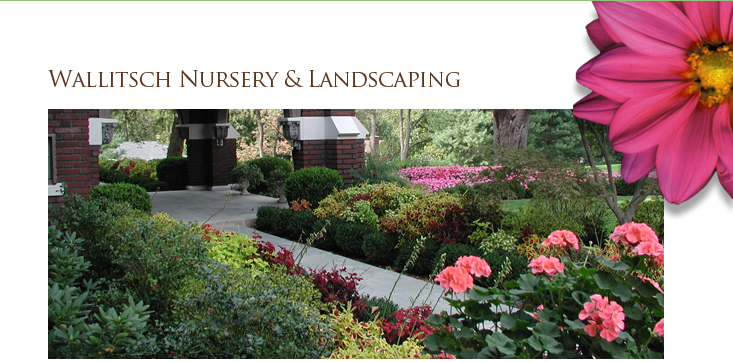Professional, quality landscape design, installation and